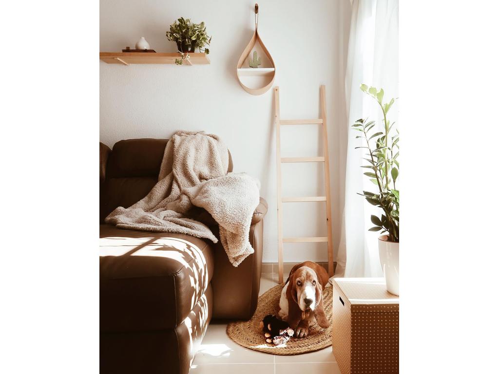 Mobili per la casa in legno di pino beige, 41 x 150 cm